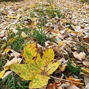 Kamenice - Na Vrchu - Tábor 