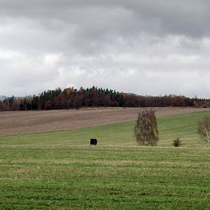 Ptačí vrch