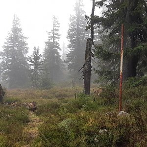 Harrachov