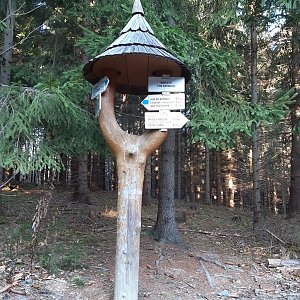 Javorníky - Velké Karlovice - okruh