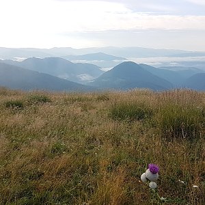 Trek přes Nízké Tatry - den 4 - Hiadelské sedlo - Donovaly