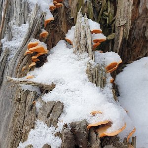 Veřovické vrchy trochu jinak