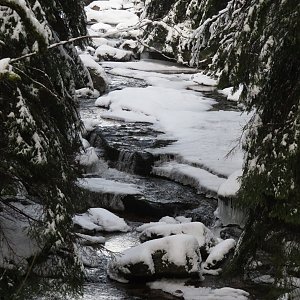 Uhlířský vrch na běžkách 13. 1. 2022