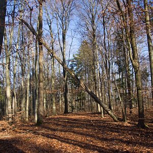 Ostrý - Lesný - Rešov