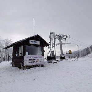 Javorový