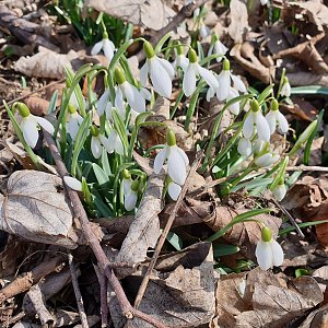 Strážnice  - Kamenice  - Tábor 