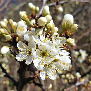 Pomáháme pohybem aneb Puštík pro onkologii