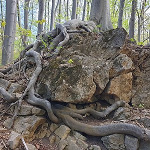 Pomáháme pohybem aneb Puštík pro onkologii