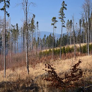 Výlet Vrbno pod Pradědem - Karlovice