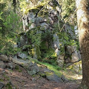 15.5.2022 toulání v Brdech - Brač a Bábovka