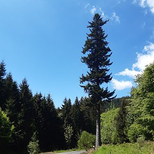 Baňa, Řehucí