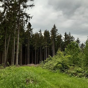 Štrček  (Dolní Bečva)