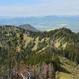 N.Tatry - Krakova hoľa