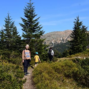 N.Tatry - Mestská hora