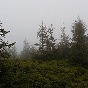 Dolní Morava - Chlum