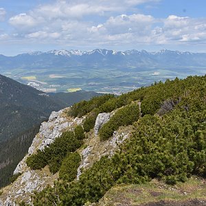 N.Tatry-Krakova hoľa