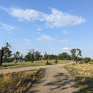 Vítkov-Balkán-Třešňovka