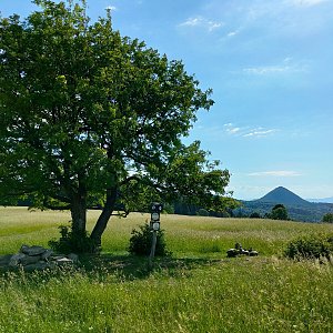 Polevský vrch