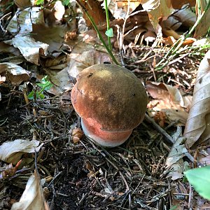 Horní Bečva Chůze