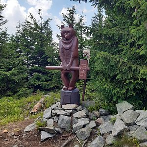 Medvědí vrch (Nej hory MSK) 