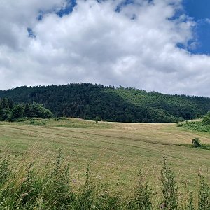 Pupov