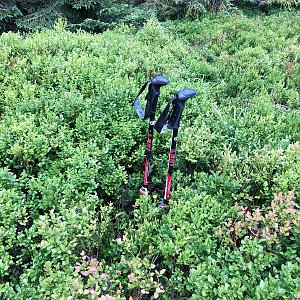 Wegierska Gorka Chůze