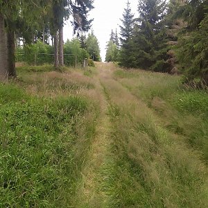 Vysoká hora (1031)