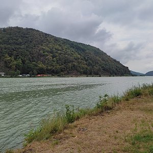 polední procházka na Ybbser Berg
