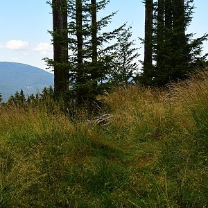 Osikový a Lysý vrch - Zaječí hora