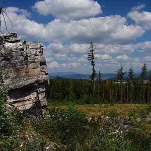 Bradlo