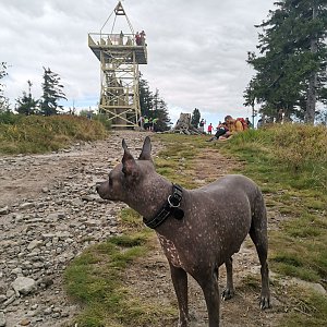 Barania Góra z Kubalonky