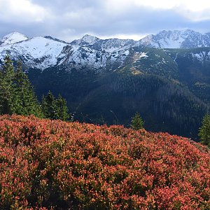 Z.Tatry - Lúčna