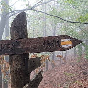 Kékes