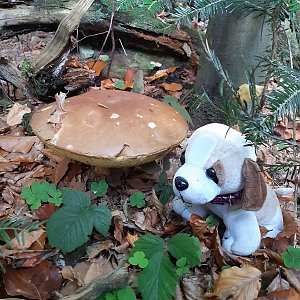 Javorníky - 3 Kyčery