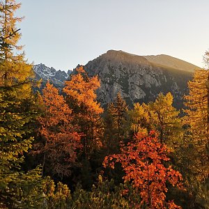Ostrva ze Štrbského plesa