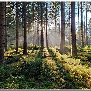 27.10.2022 z Kladské na Lesný