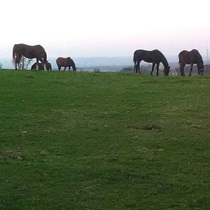Strážnice - Kamenná