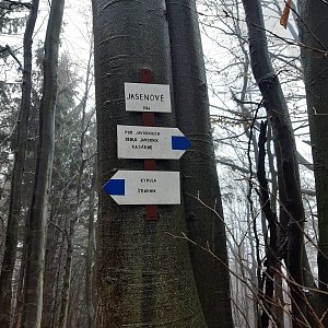 Javorníky - Ustrígel 