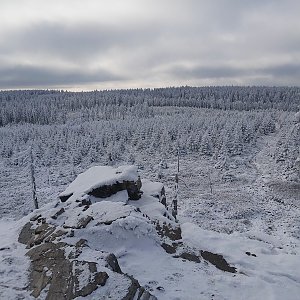 Smrk, Brousek, Lesní bar s Yveťt a Ajfel family