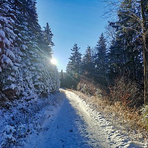 Zmrzlé Jeseníky cestou, necestou