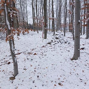 Krásnice, Hora