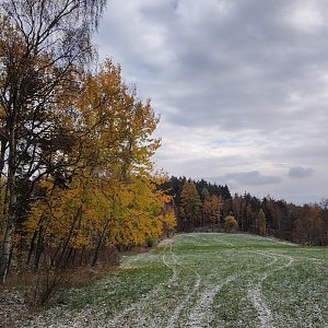 Výlet 19. 11. 2022