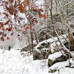 Výlet Nečtiny, Kozelka