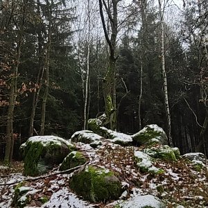 Výlet 4. 12. 2022