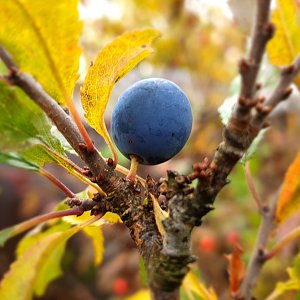 GFG Health Challenge 2022 – Přírodní park Podbeskydí