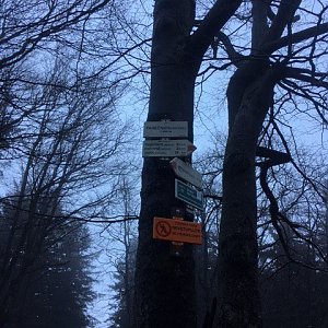 Trasa z Parkoviště Ráztoka do 49.506275N, 18.247714E