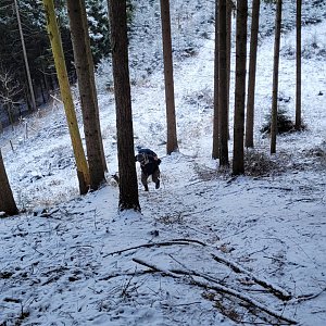 Ústí nad Orlicí - d2