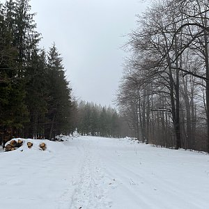 Komorní Lhotka 