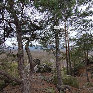 Nedělní procházka 