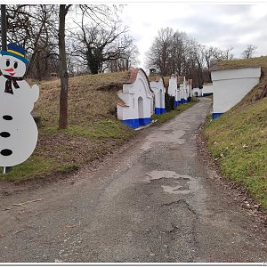 22.2.2023 na nejvyšší bod Chvojnické pahorkatiny - Staré hory